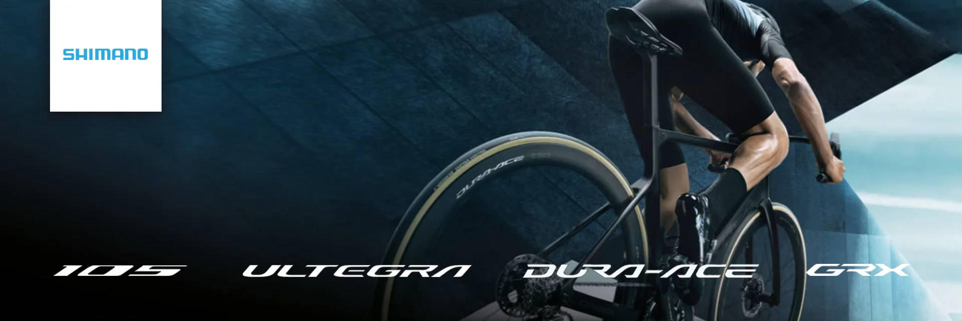 Pedala al Massimo con Probikeshop